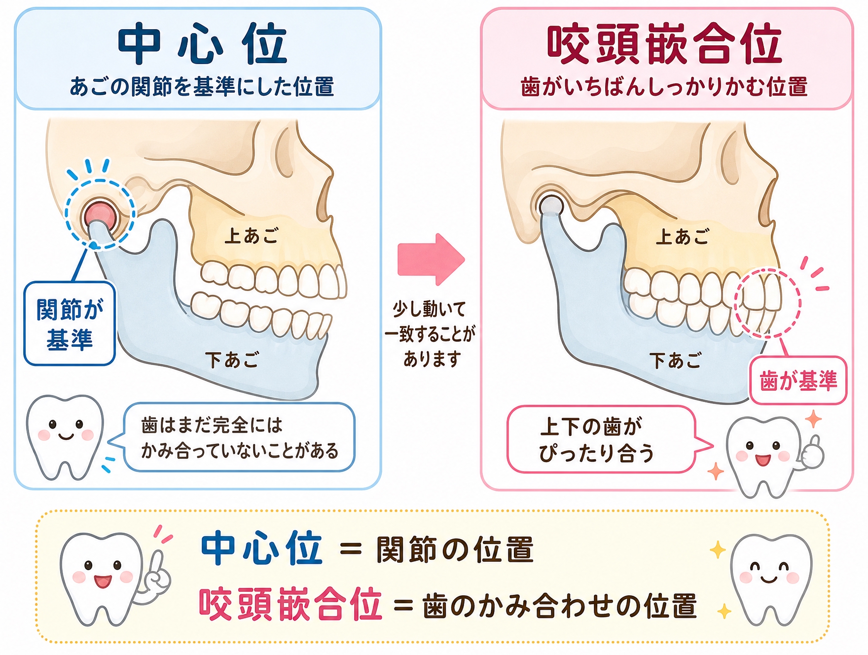 顎関節とマウスピース矯正